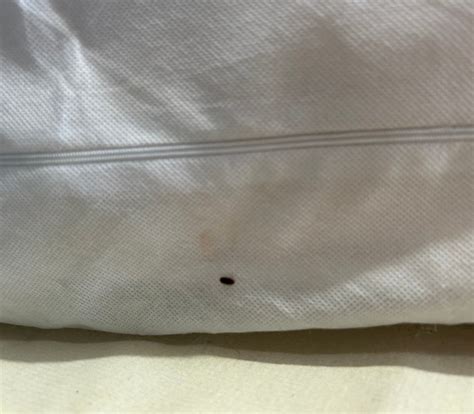 BUDGET INN VALPARAISO NICEVILLE EGLIN AFB - Hotel Reviews, Photos, Rate ...