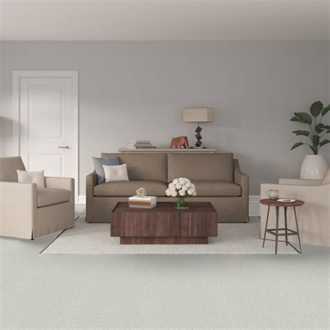 STAINMASTER Over The Moon III Rapturous Textured Indoor Carpet L5017 ...