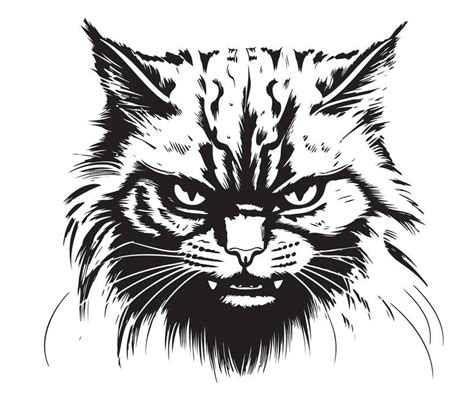 Image result for Angry Cat Scratch Vector