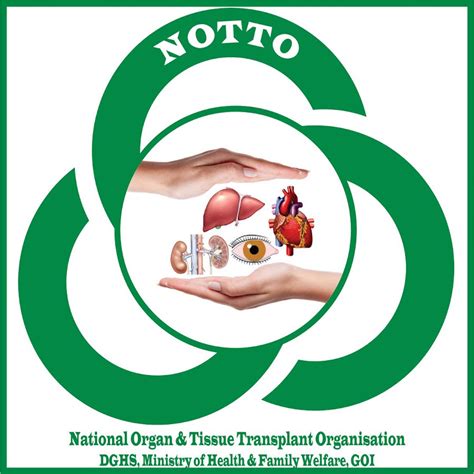 NOTTO - Creative Channel Media