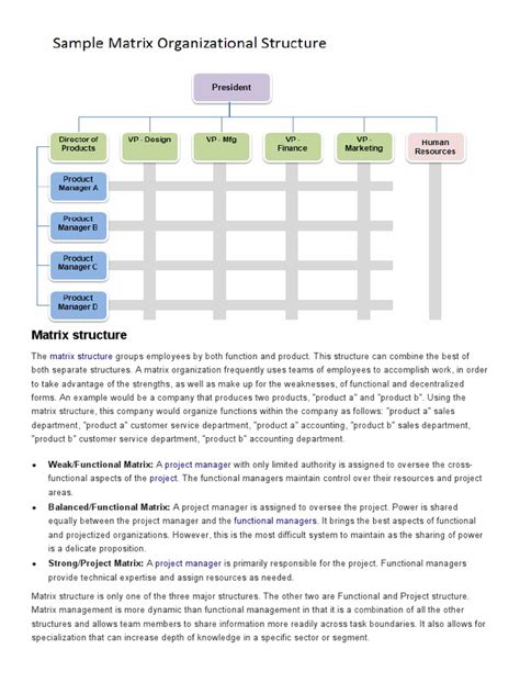 Understanding the Matrix Organizational Structure: Its Benefits, Drawbacks, and Types | PDF ...
