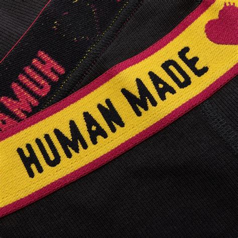 Boxer Human 的图像结果