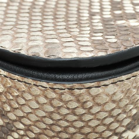 Image result for Python Louis Vuitton