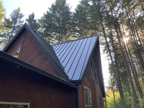 Image result for Tree Rot Damage Repair