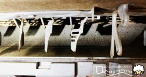 Image result for Dictionary vs Set in Python