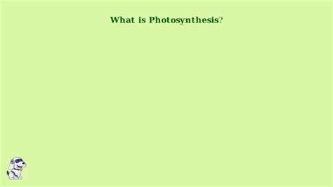 How Plants Make Their Own Food (Photosynthesis Explained) | Imagine Explainers