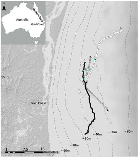 Exfoliating Whales–Sandy Bottom Contact Behaviour of Humpback Whales