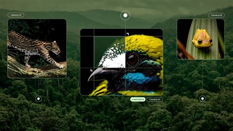 Giving every language a voice – Microsoft Unlocked Aesthetic Aesthetic Aesthetic