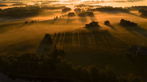 Download wallpaper 3840x2160 field, trees, grass, rays, shadow 4k uhd ...