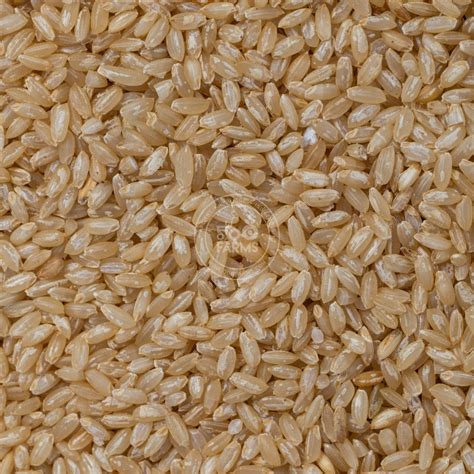 Ambi Moti Rice (Unpolished) – OOO Farms