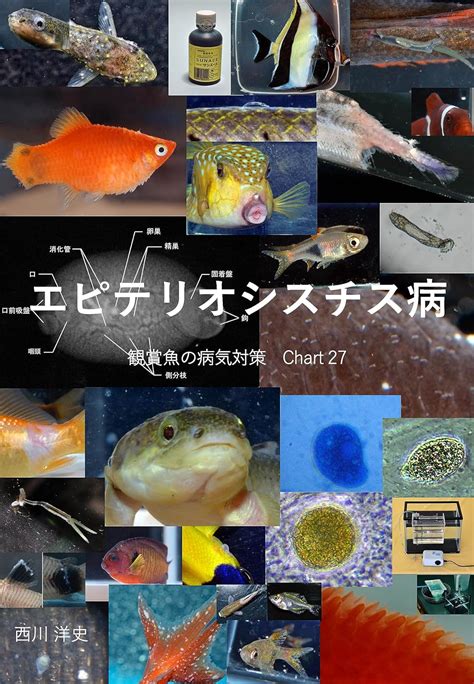 Epitheliocystis Disease Kansyougyonobyoukitaisaku (Japanese Edition ...