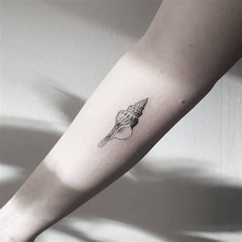 Realistic Seashell Tattoos