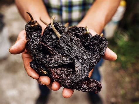 Poblano Peppers: Flavor, Recipes & How to Cook Them - Butter N Thyme