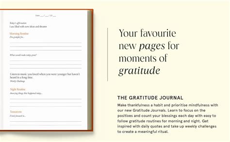 Odd Giraffe Evermore Pink Gratitude Journal (A5 Size, 5.6 x 8.4 inch ...