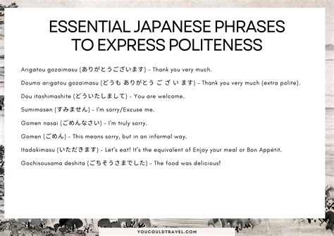 Most Useful Japanese Phrases for Tourists – You Could Travel
