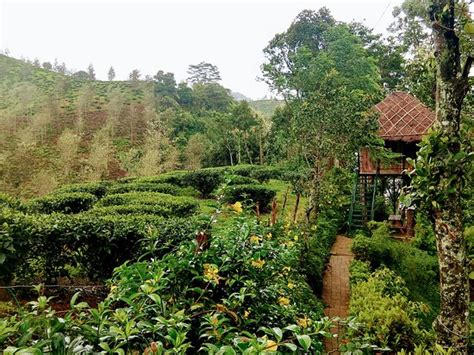 AIDEN'S ABODE (Vandiperiyar, Kerala) - Hotel Reviews, Photos, Rate ...