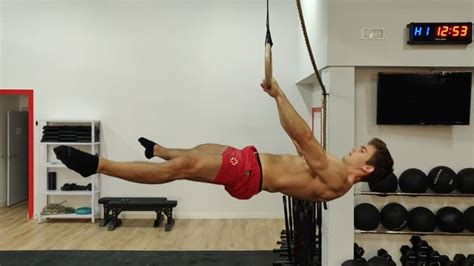 Image result for Front Lever Muscles