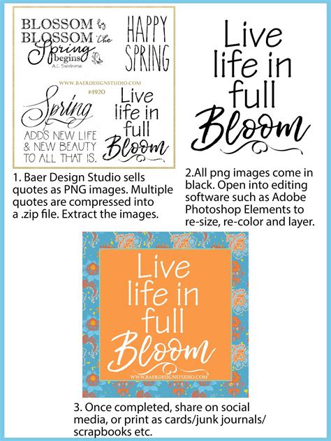 Image result for Comment Utiliser Image PNG