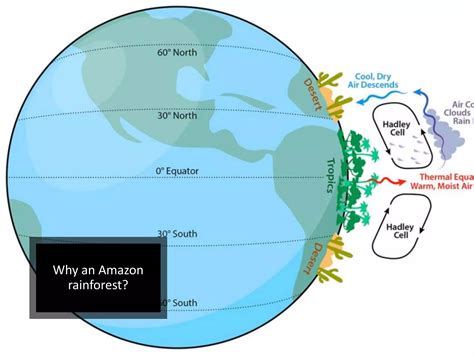 Brazil - Leaving Cert Geography | PPTX