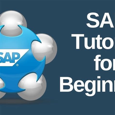 Image result for Learning SAP for Beginners