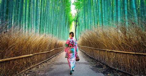 Arashiyama Bamboo Forest: ये है दुनिया का सबसे खूबसूरत जंगल, कभी नहीं ...