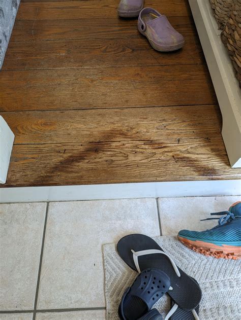 Dog pee : r/Flooring
