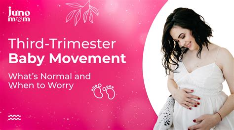 Third-Trimester Baby Movement: What’s Normal and When to Worry? – Juno ...