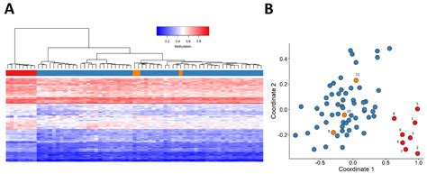 DNA Methylation Signature for JARID2-Neurodevelopmental Syndrome