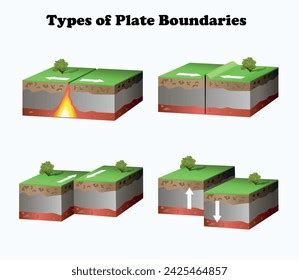 Three Types of Plate 的图像结果
