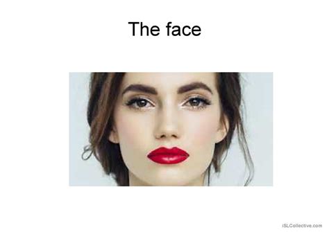 Image result for Face Features