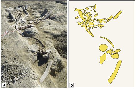 Archaeologists Uncover 400,000-Year-Old “Elephant Feast” Site Near Rome — And It’s Changing What ...