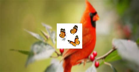 Obituary | Kathryn Brensike of Sauk City, Wisconsin | Hooverson Funeral ...