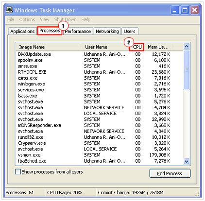Image result for Task Manager CPU Usage