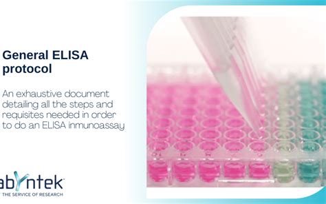 Image result for Elisa Process