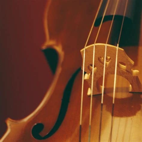 Image result for Examples of String Instruments