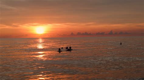 Swim 的图像结果