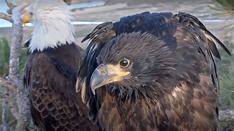 12 Facts About John Redcorn - Facts.net