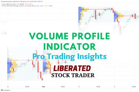 Image result for Volume Indicator