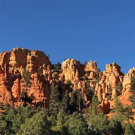 ATV Bryce / Bryce Wildlife Outfitters - Bryce Canyon City - ATV Bryce / Bryce Wildlife ...