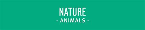 NATURE Theme - Kulture Shop
