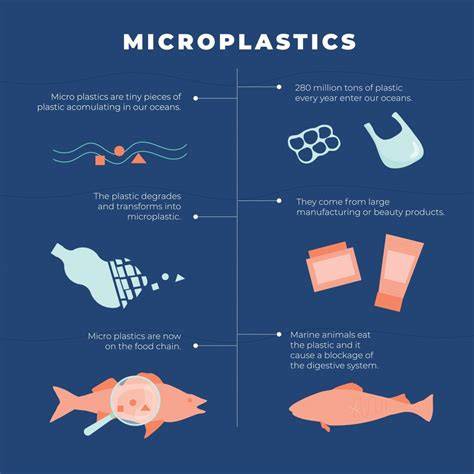 The Environmental Impact of Plastic Toothbrushes - Bambooth