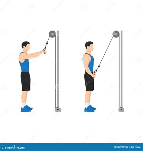 Straight Arm Cable Pulldown