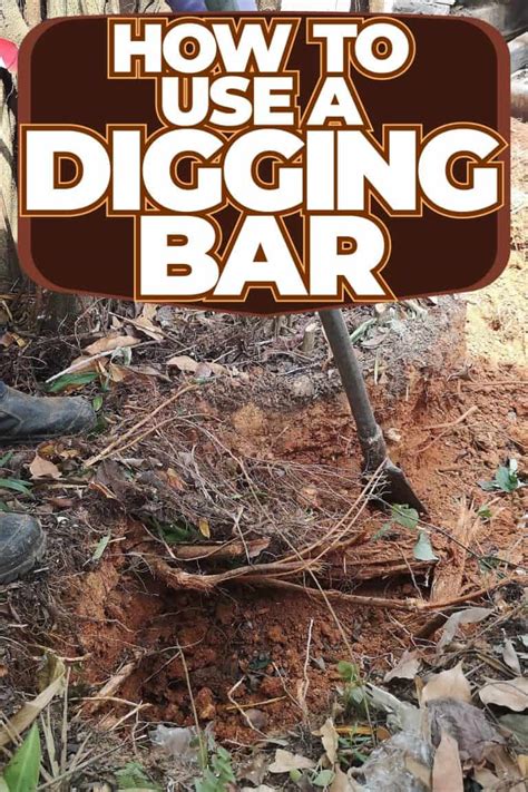 Image result for Digging Bar Types