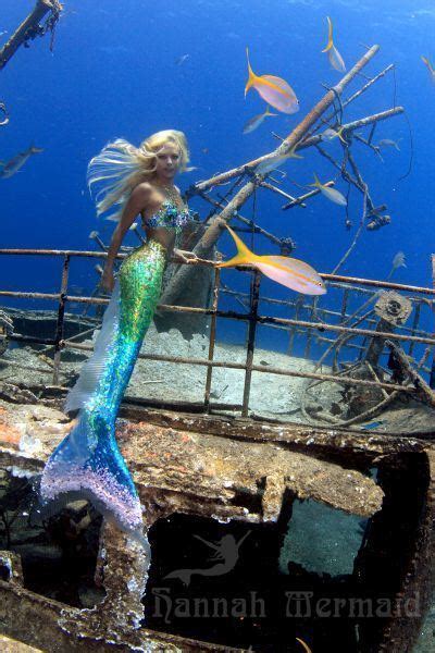 Hannah Mermaid 的图像结果