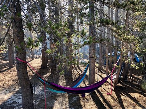 BRIDALVEIL CREEK CAMPGROUND (Yosemite National Park, Californië) - foto ...