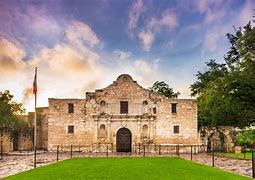 Alamo 的图像结果