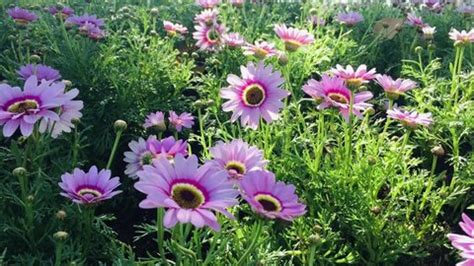 Robot Using Keyboard 的图像结果