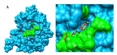 Analysis of 1-Aroyl-3-[3-chloro-2-methylphenyl] Thiourea Hybrids as ...