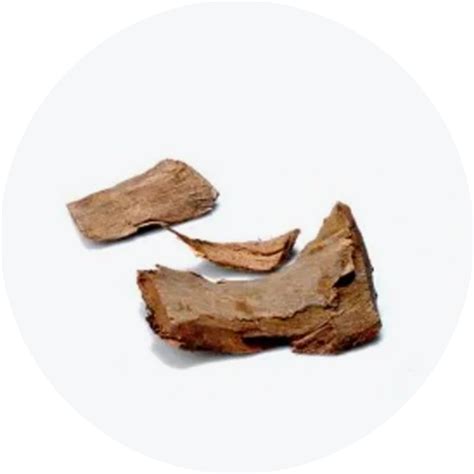 Buy Vicco Vajradanti Toothpaste Online | Ayurvedic Toothpaste – Vicco labs