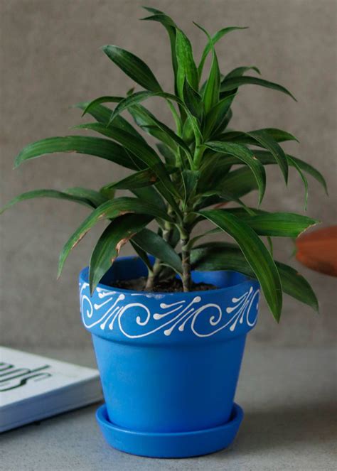 Get Swirl Motif Blue Handmade And Handpainted Planter With Tray at ...